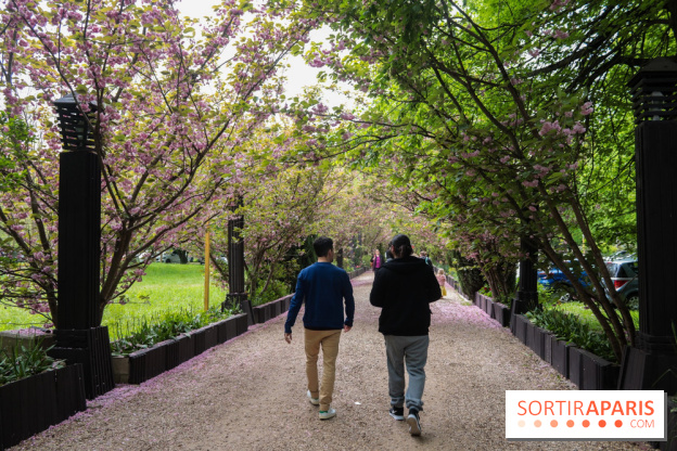 Wat Thammapatip Inrernational : la pagode bouddhiste et sa street food thaï, à Moissy-Cramayel - 95914580 96CD 4D0F 8382 82E2A9B28465