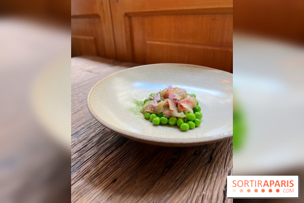 Géosmine - Maquereaux petits pois