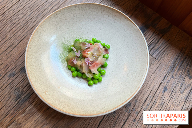 Géosmine - Maquereaux petits pois