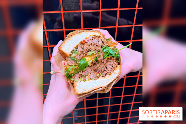 Alfi - Sandwich effiloché bœuf