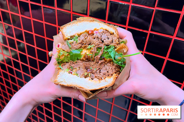 Alfi - Sandwich effiloché bœuf