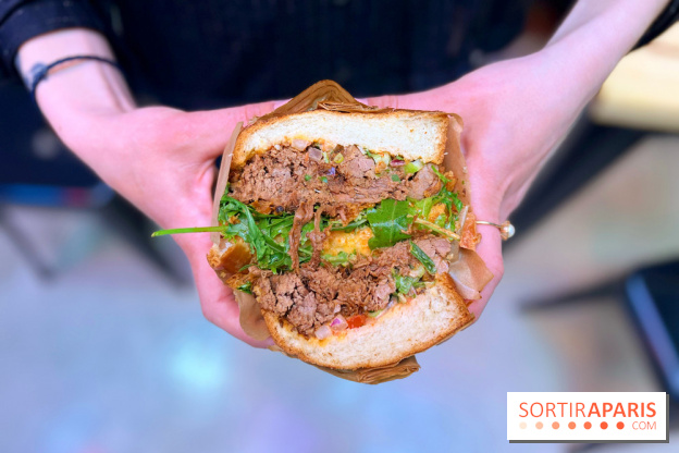 Alfi - Sandwich effiloché bœuf