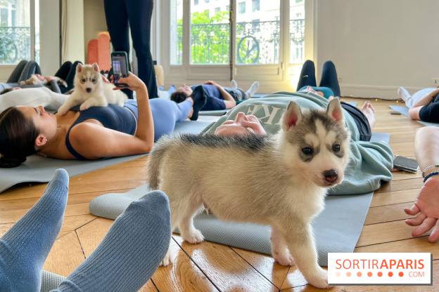 Puppy Yoga - image00003