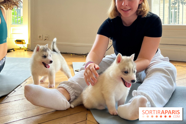 Puppy Yoga