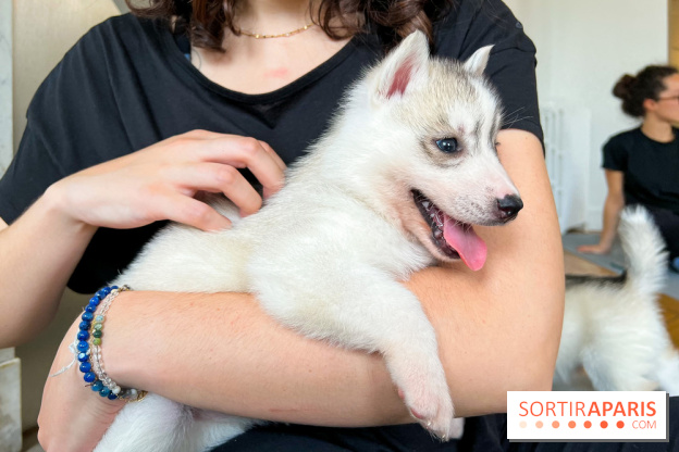 Puppy Yoga - image00010