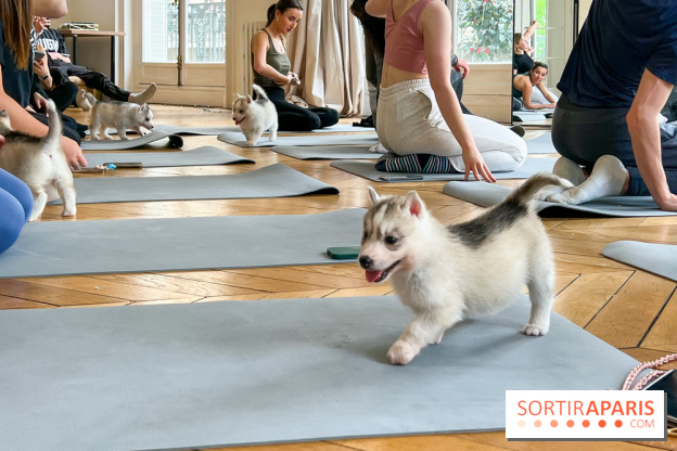 Puppy Yoga