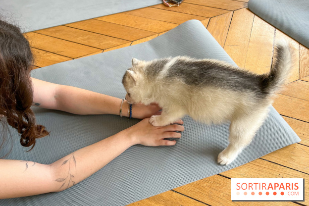 Puppy Yoga