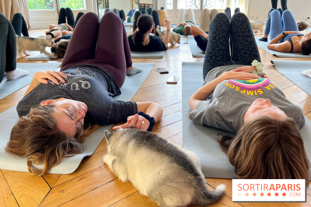 Puppy Yoga
