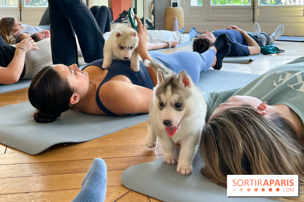 Puppy Yoga