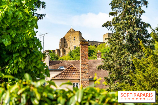 Le Château de la Madeleine à Chevreuse  -  A7C3890