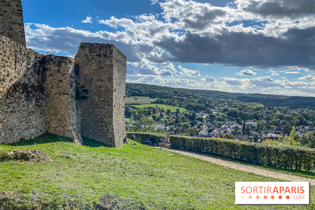 Le Château de la Madeleine à Chevreuse  - IMG 8934