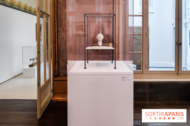 Exposition ASensitiv de Warren à l'Institut Giacometti - nos photos - IMG 20230515 114029