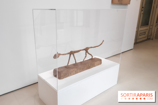 Exposition ASensitiv de Warren à l'Institut Giacometti - nos photos - IMG 20230515 114130