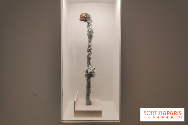 Exposition ASensitiv de Warren à l'Institut Giacometti - nos photos - IMG 20230515 114303 1