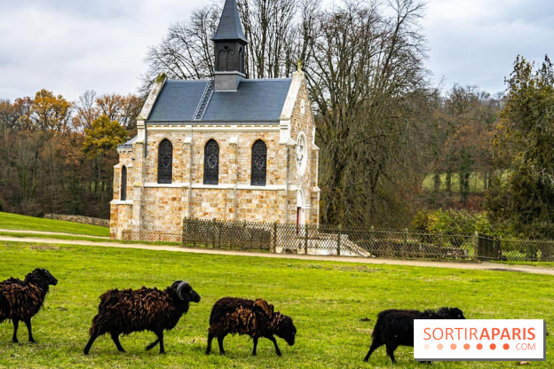 Domaine National de Port-Royal des Champs dans les Yvelines