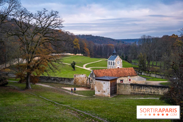 Domaine National de Port-Royal des Champs dans les Yvelines -  A7C3310