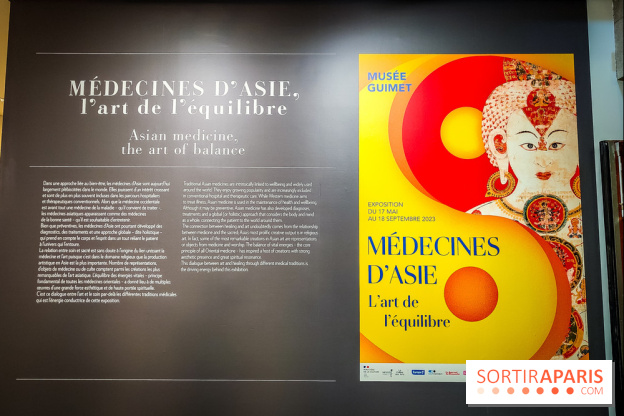 Médecines d'Asie, l'art de l'équilibre : l'exposition bien-être étonnante du musée Guimet - photos