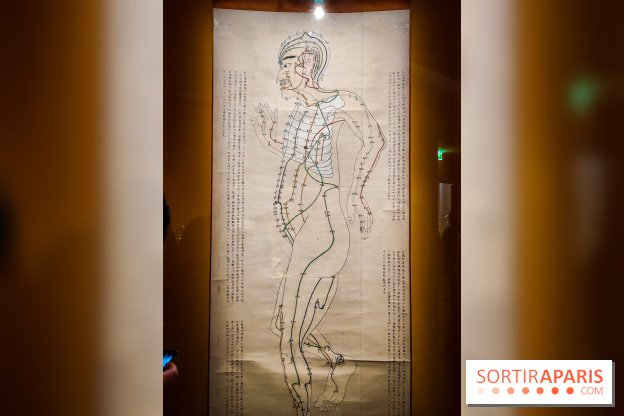 Médecines d'Asie, l'art de l'équilibre : l'exposition bien-être étonnante du musée Guimet - photos - IMG20230516103045