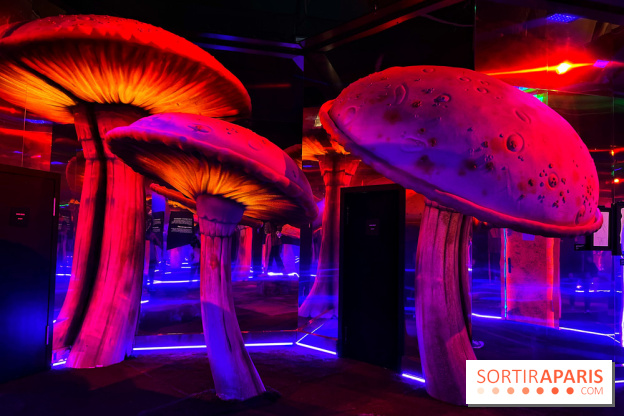 Le labyrinthe de Tim Burton - IMG 2567