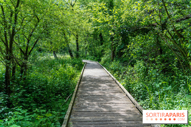 Sentier découverte de Maincourt - Vallée de Chevreuse -  A7C4054