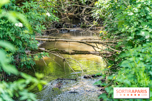 Sentier découverte de Maincourt - Vallée de Chevreuse -  A7C4065