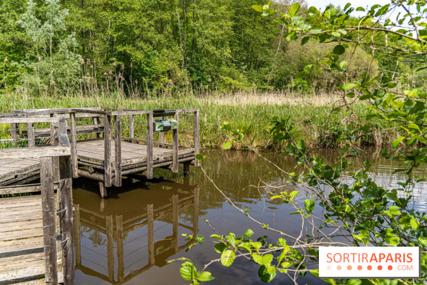 Sentier découverte de Maincourt - Vallée de Chevreuse -  A7C4066