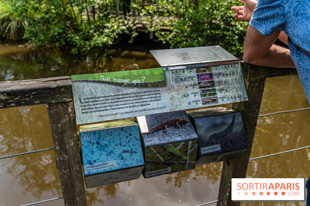 Sentier découverte de Maincourt - Vallée de Chevreuse -  A7C4067