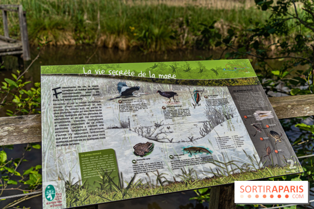 Sentier découverte de Maincourt - Vallée de Chevreuse -  A7C4079