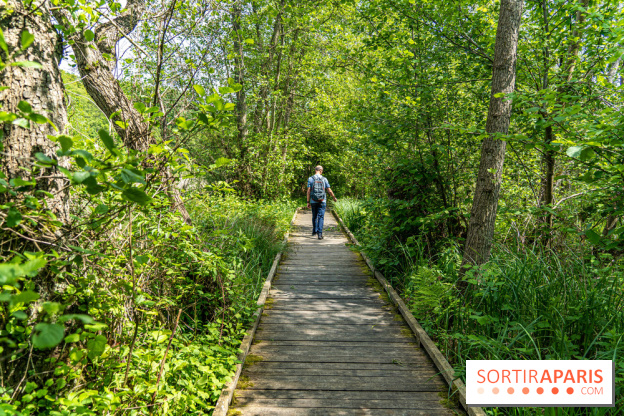 Sentier découverte de Maincourt - Vallée de Chevreuse -  A7C4083