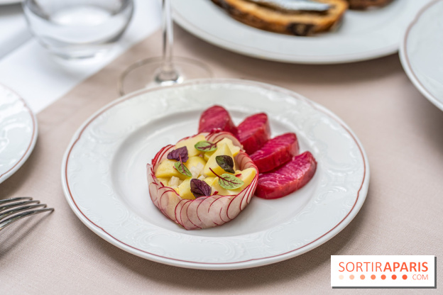 Les Caryatides restaurant de l'Hôtel Alfred Sommier -  A7C3317