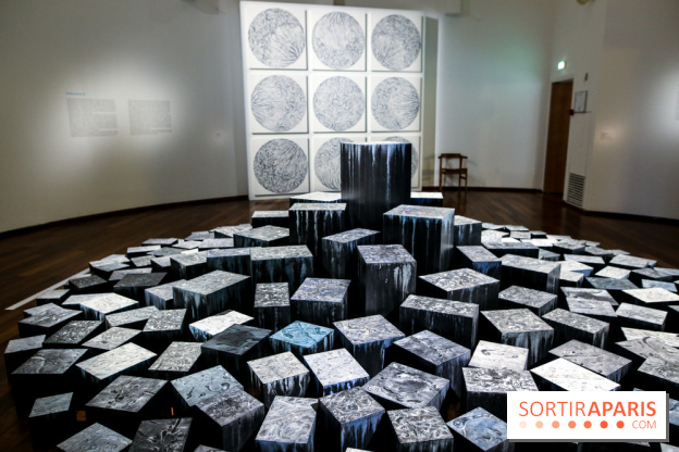 Carte blanche à Park Dong Soo au musée Guimet, nos photos - IMG 0095