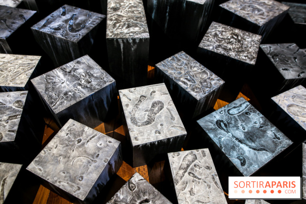 Carte blanche à Park Dong Soo au musée Guimet, nos photos - IMG 0099