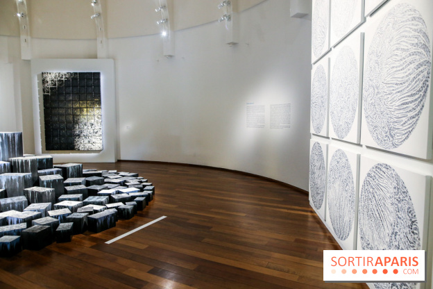 Carte blanche à Park Dong Soo au musée Guimet, nos photos - IMG 0101