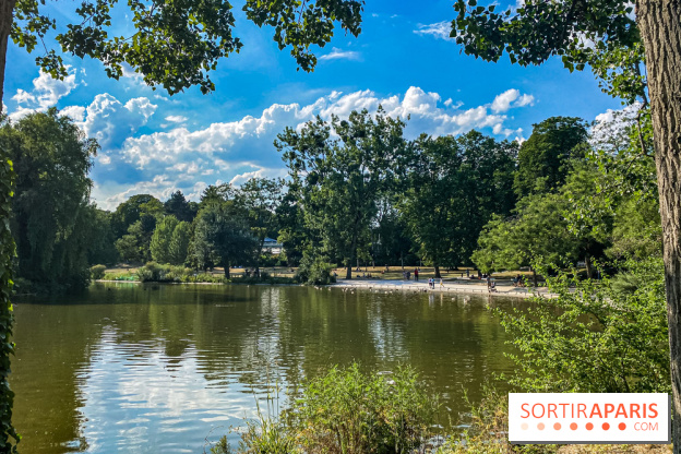 Visuel forêt  - IMG 5163