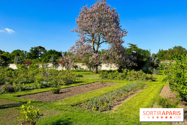 Le Jardin du Parfumeur à Versailles - image00002