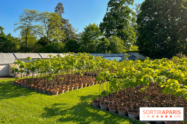 Le Jardin du Parfumeur à Versailles - image00004