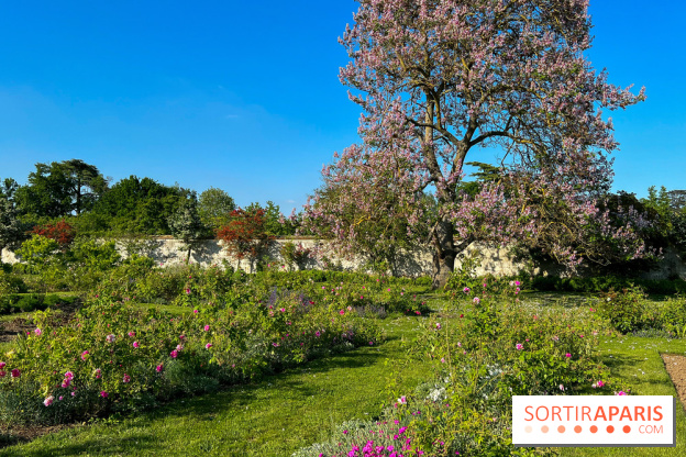 Le Jardin du Parfumeur à Versailles - image00007