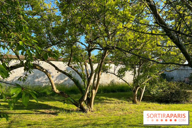 Le Jardin du Parfumeur à Versailles - image00010