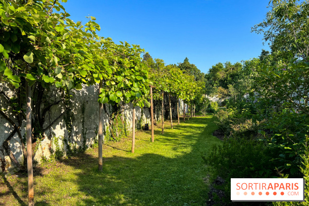 Le Jardin du Parfumeur à Versailles - image00011