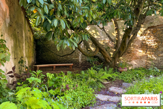 Le Jardin du Parfumeur à Versailles - image00013