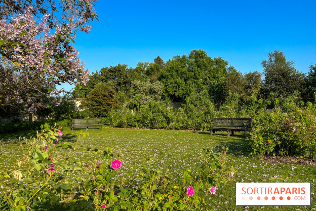 Le Jardin du Parfumeur à Versailles - image00021
