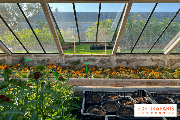Le Jardin du Parfumeur à Versailles - image00022