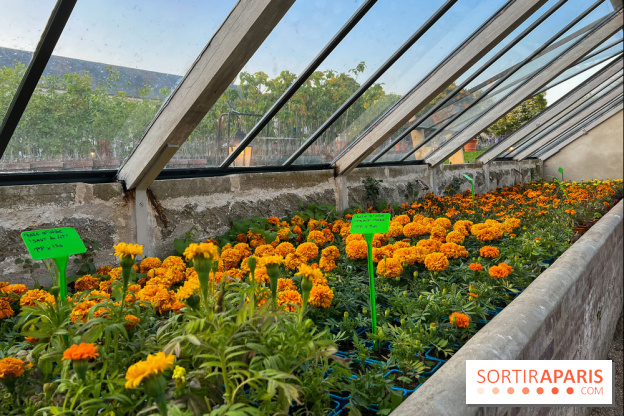 Le Jardin du Parfumeur à Versailles - image00030