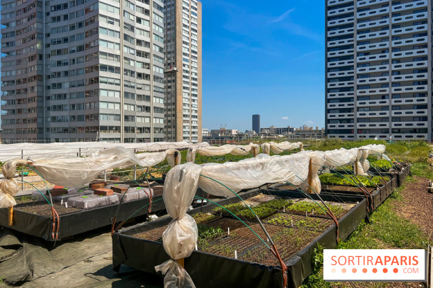 Les toits de Beaugrenelle