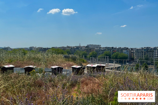 Les toits de Beaugrenelle
