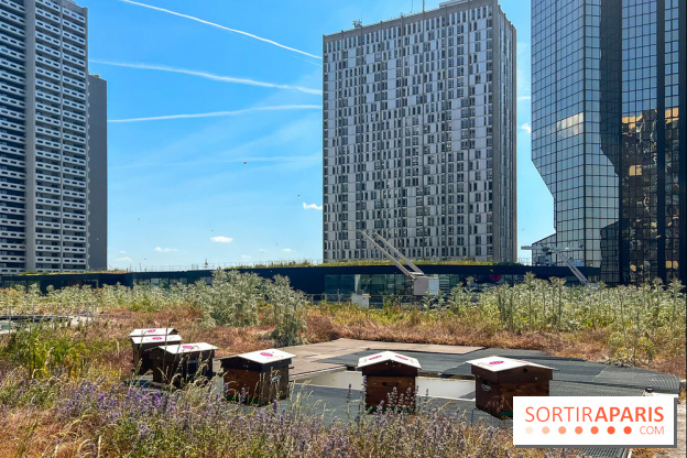 Les toits de Beaugrenelle