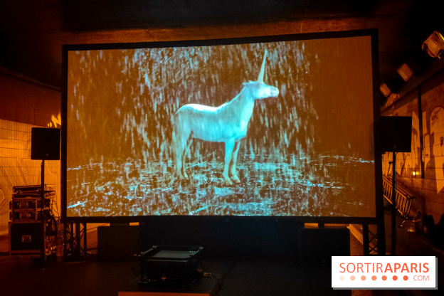 Nuit Blanche 2023 à Paris et en Ile-de-France : tout le programme de la soirée - Licorne tunnel Henri IV