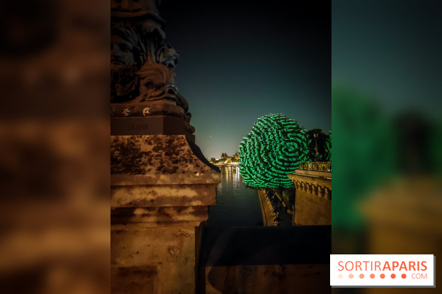 Nuit Blanche 2023 : des projections lumineuses magiques au Square du Vert Galant de l'Île de la Cité - IMG20230603001257