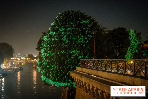 Nuit Blanche 2023 : des projections lumineuses magiques au Square du Vert Galant de l'Île de la Cité
