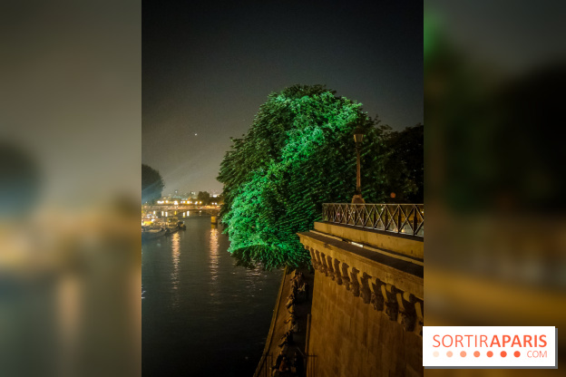 Nuit Blanche 2023 : des projections lumineuses magiques au Square du Vert Galant de l'Île de la Cité